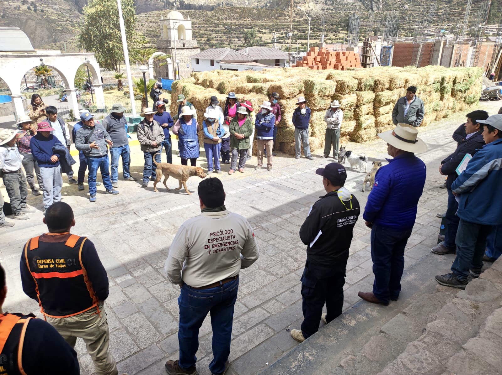 GOBIERNO REGIONAL MOQUEGUA ENTREGA FORRAJE E IMPLEMENTOS A AGRICULTORES AFECTADOS POR VOLCÁN UBINAS